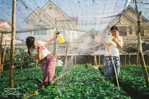 Đẹp long lanh bộ ảnh cưới chụp trong... vườn nhà - 4