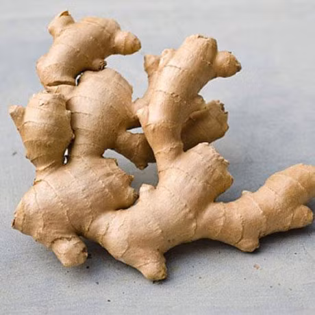 Tri seo loi cuc hieu qua voi gung - Anh 2