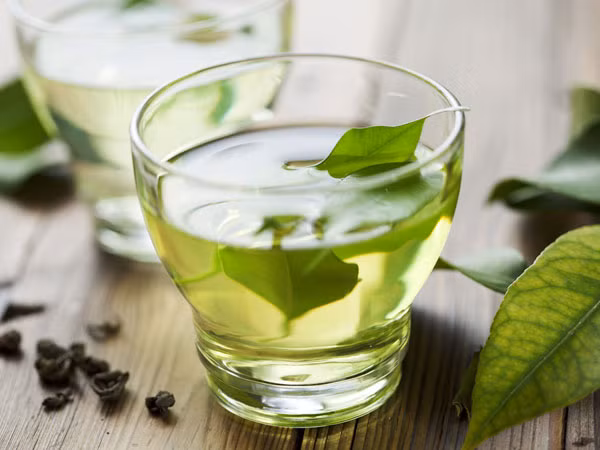 Trà lá bơ giải quyết được 7 vấn đề về sức khỏe