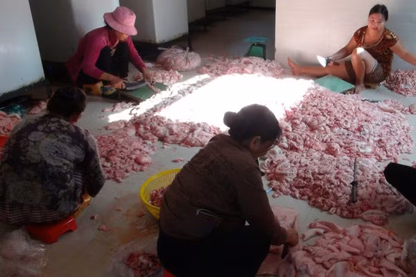 ung thư tại miệng