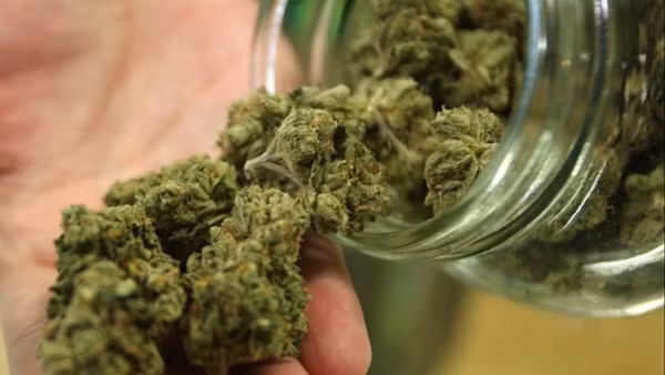 Các chất thức thần đang gây bão trong giới trẻ