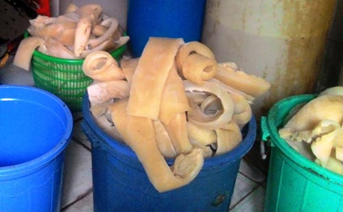 Mắc bệnh ung thư là... tại miệng