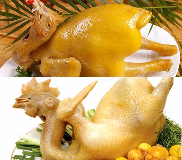 ung thư tại miệng