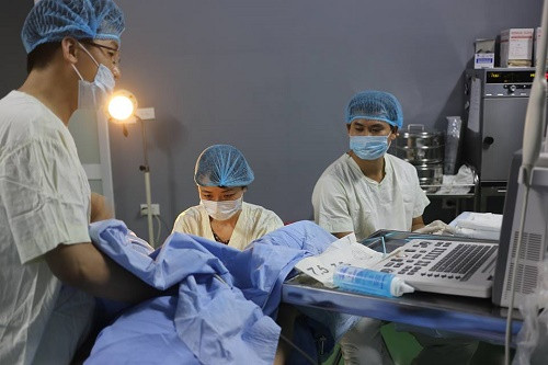 Bác sĩ Lê Thị Thu Hiền đang thực hiện một ca chuyển phôi. Ảnh: MT. BS. Lê Thị Thu Hiền đang thực hiện một ca chuyển phôi tại bệnh viện.