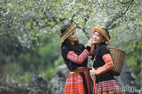 Theo chan Mai Thu Huyen lac troi mua hoa man no trang troi Moc Chau - Anh 3