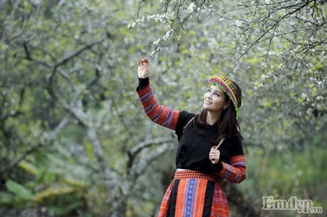 Theo chan Mai Thu Huyen lac troi mua hoa man no trang troi Moc Chau - Anh 4