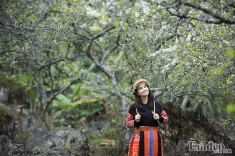 Theo chan Mai Thu Huyen lac troi mua hoa man no trang troi Moc Chau - Anh 2