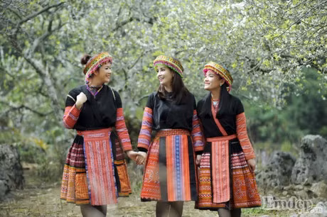 Theo chan Mai Thu Huyen lac troi mua hoa man no trang troi Moc Chau - Anh 1