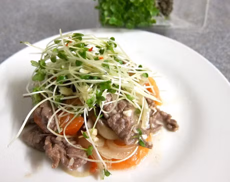Huong dan cach trong rau cai mam tuoi, ngon - Anh 6
