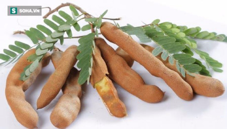 Lý do thế giới tôn vinh me là cây quý có giá trị từ gốc đến ngọn - Ảnh 3 Ly do the gioi ton vinh me la cay quy co gia tri tu goc den ngon - Anh 3