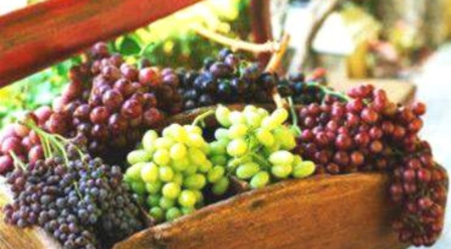 Ăn nho hết lo bệnh tật