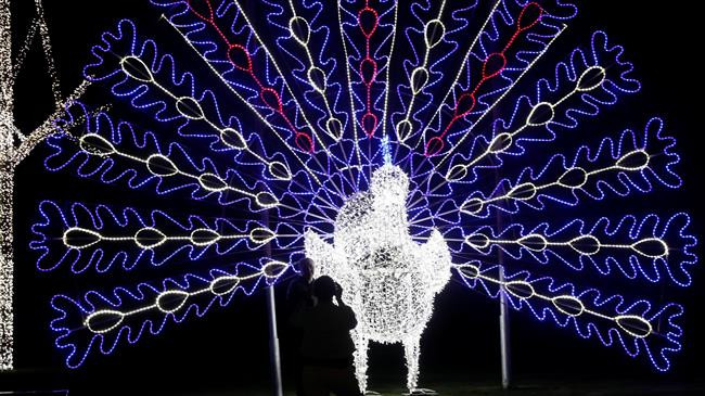 Hình ảnh một chú công rực rỡ trong hoạt động đón năm mới tại Cairo, Ai Cập Hình ảnh một chú công rực rỡ trong hoạt động đón năm mới tại Cairo, Ai Cập