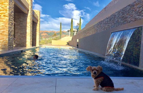 Toàn cảnh siêu biệt thự 4000m2 của vợ chồng Đan Trường - Ảnh 18 Toan canh sieu biet thu 4000m2 cua vo chong Dan Truong - Anh 18