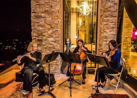 Toàn cảnh siêu biệt thự 4000m2 của vợ chồng Đan Trường - Ảnh 13 Toan canh sieu biet thu 4000m2 cua vo chong Dan Truong - Anh 13