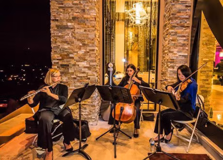 Toan canh sieu biet thu 4000m2 cua vo chong Dan Truong - Anh 13