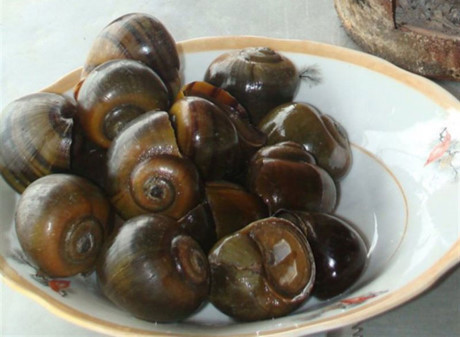 Công thức chế biến món bún ốc ngon hơn hàng quán - Ảnh 1 Cong thuc che bien mon bun oc ngon hon hang quan - Anh 1