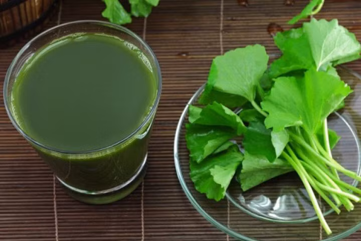 Ảnh minh họa. Nguồn Internet