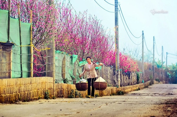 8/3: Ngắm vẻ đẹp thuần khiết của những người phụ nữ Việt - ảnh 17 Hình ảnh: 8/3: Ngắm vẻ đẹp thuần khiết của những người phụ nữ Việt số 17