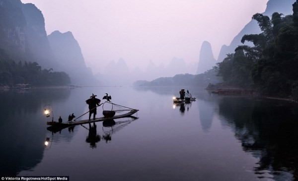 Ky la ngu dan bat ca bang chim coc o Trung Quoc-hinh-anh-5