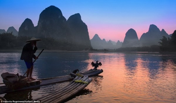 Ky la ngu dan bat ca bang chim coc o Trung Quoc-hinh-anh-8