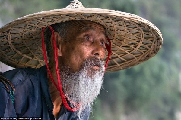 Ky la ngu dan bat ca bang chim coc o Trung Quoc-hinh-anh-10