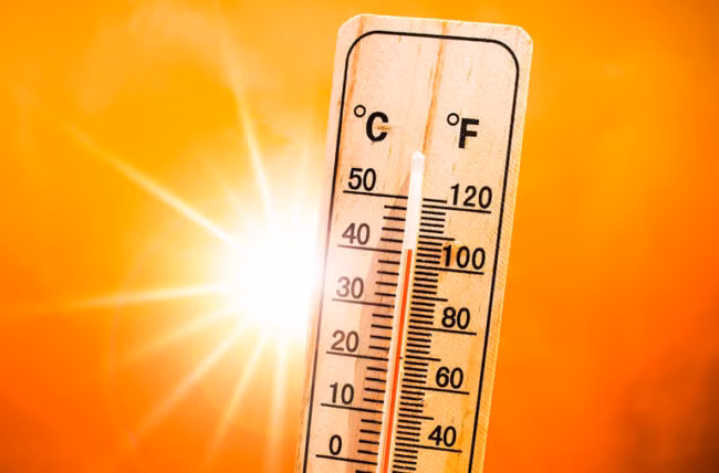 (Ảnh minh họa: Internet).