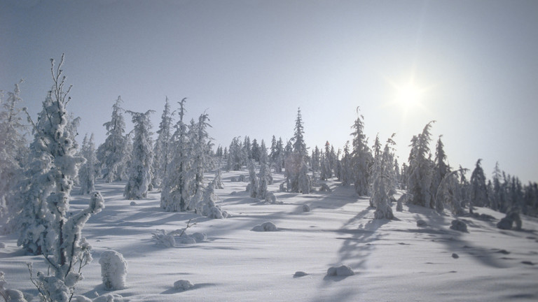 Mùa đông ở Oymyakon, Nga. (Ảnh: Sputnik)