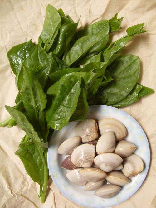 4 món cháo mát lành giải nhiệt mùa hè cho con ảnh 1 4 món cháo mát lành giải nhiệt mùa hè cho con - 2