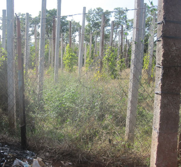 Tường rào B40 bị hung thủ cắt đột nhập vào nhà