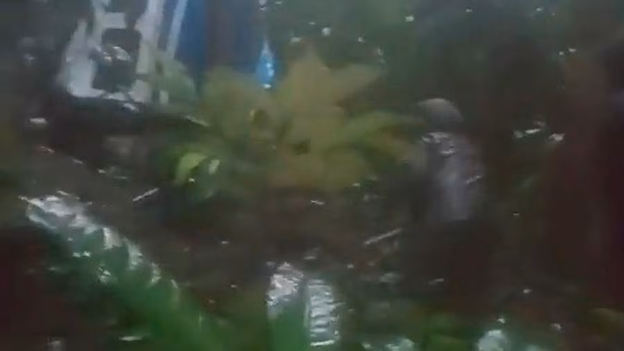 Tìm thấy 4 trẻ em sống sót 16 ngày sau tai nạn máy bay