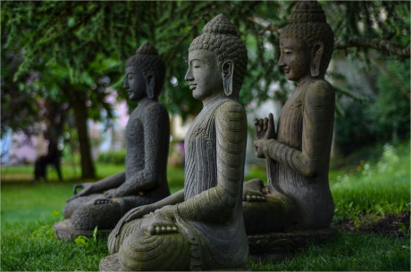 Thoát khỏi Thoat khoi