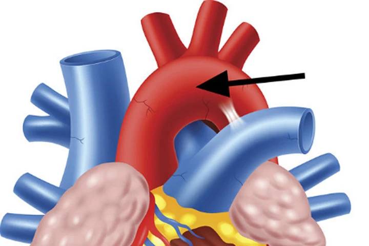 8 câu hỏi giúp bạn hiểu về cơ thể của mình