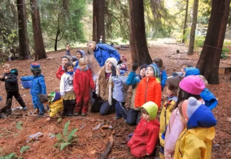 Hoc cach day con cua nguoi Duc va nguoi Nhat - Anh 1