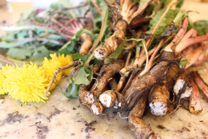 Hỗn hợp nước uống mạnh mẽ "chặn đứng" suy gan dễ dàng