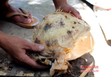 Lạ miệng với món ăn từ củ chuối - Ảnh 2 La mieng voi mon an tu cu chuoi - Anh 2