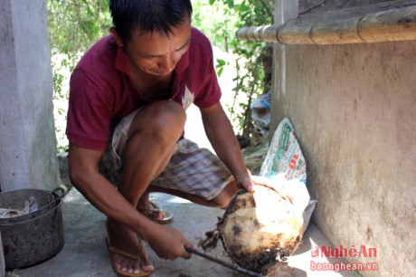 Lạ miệng với món ăn từ củ chuối - Ảnh 1 La mieng voi mon an tu cu chuoi - Anh 1