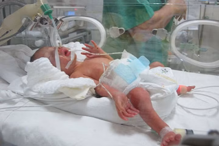 Xúc động bài thơ gửi tặng bé Gấu