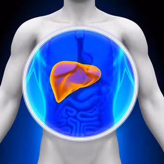 Thu pham gay tang men gan - Anh 3