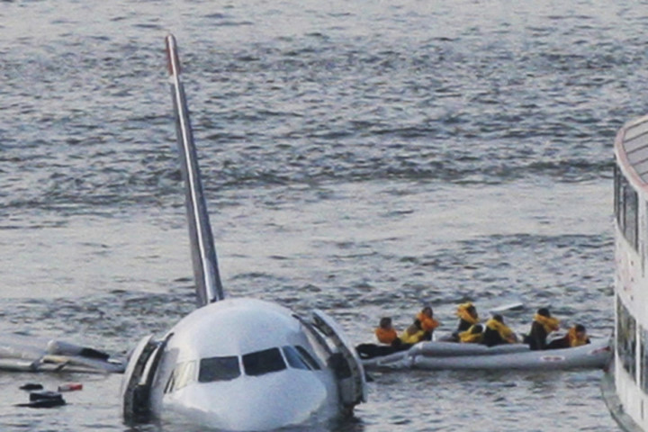 New York diệt 70.000 con chim để dọn đường cho máy bay