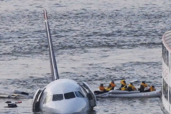 New York diệt 70.000 con chim để dọn đường cho máy bay