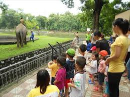 Tham quan vườn thú Tham quan vườn thú
