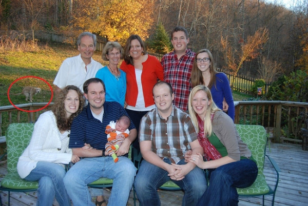 Những khoảnh khắc thực sự của "gia đình" ảnh 16