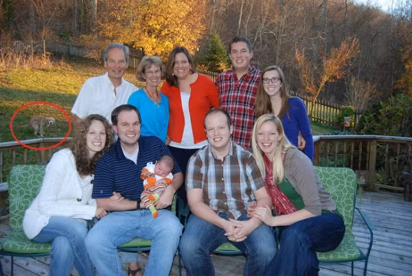 Những khoảnh khắc thực sự của "gia đình" ảnh 16