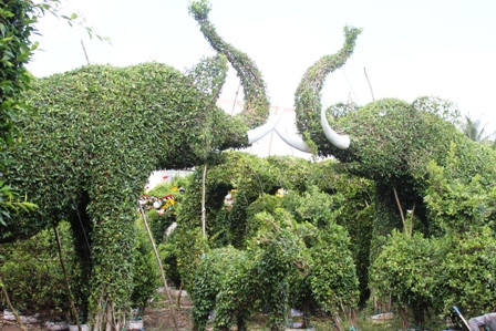 Các sản phẩm kiểng thú cũng đắt hàng trong dịp tết