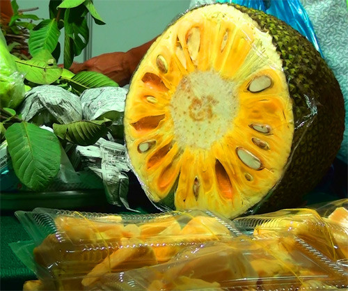 Dùng tay vỗ nhẹ hoặc búng vào vỏ quả mít thấy phát ra những tiếng kêu bình bịch thì đó là mít ngon. me