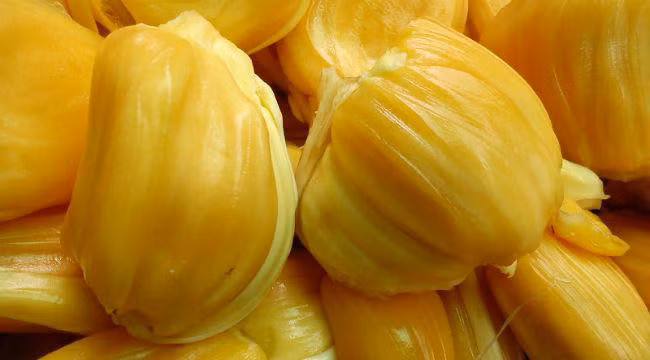 Mít dai là mít có cùi dày, giòn, vàng nhạt và vị thường ngọt đậm.
