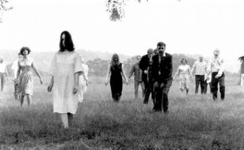 10 cụm từ tuyệt đối đừng bao giờ tìm kiếm trên Wikipedia 5