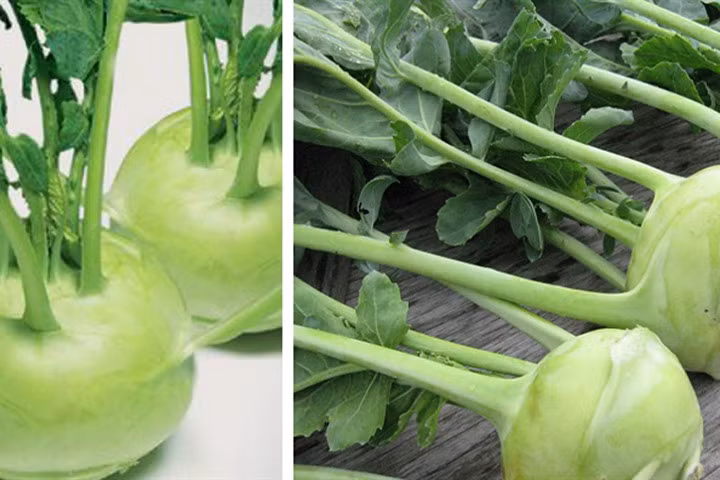 Cô bán rau chia sẻ cách nhận biết su hào Việt Nam và su hào Trung Quốc độc hại