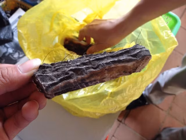 Da voi không có tác dụng làm thuốc chữa bệnh như đồn thổi. Ảnh C.Tuân