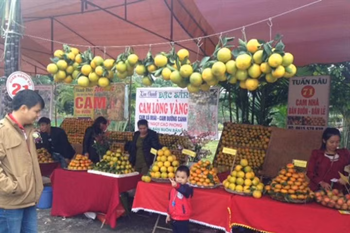 Các loại hoa quả Việt nên mua vào thời điểm này